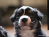 cimg_0210