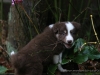 cIMG_2866
