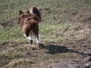 cimg_7943