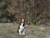 cimg_8210