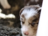 cimg_8250
