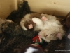 cimg_8320