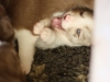 cimg_8357