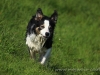 cIMG_3917