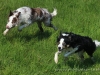 cIMG_3939