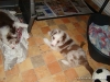 comp_dsc03017