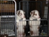 comp_dsc03022