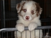 comp_dsc03023