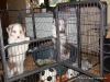 comp_dsc03026