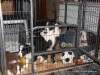 comp_dsc03027
