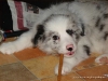 comp_dsc03028
