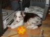 comp_dsc03031