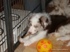comp_dsc03032