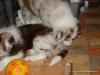 comp_dsc03033