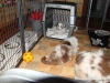 comp_dsc03035