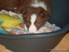 comp_dsc03036