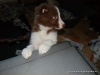 comp_dsc03037