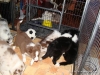 comp_dsc03038
