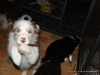 comp_dsc03039