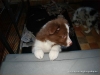 comp_dsc03040