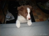 comp_dsc03041