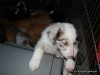 comp_dsc03043