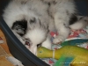 comp_dsc03045