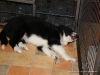 comp_dsc03047