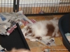 comp_dsc03048