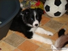 comp_dsc03051