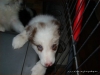 comp_dsc03053