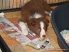 comp_dsc03055
