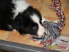 comp_dsc03057