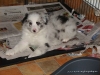 comp_dsc03058