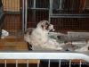 comp_dsc03061