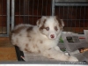 comp_dsc03062