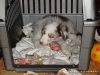 comp_dsc03067
