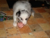 comp_dsc03070