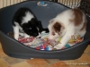 comp_dsc03081