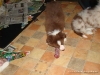 comp_dsc03085
