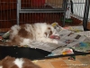 comp_dsc03088