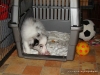 comp_dsc03098