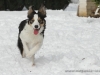 cIMG_7190
