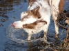 cIMG_0009