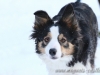 cIMG_8707