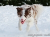 cIMG_8795