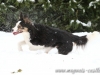 cIMG_8954