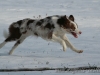 cIMG_9868