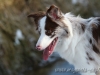 cIMG_9924