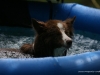cimg_2701
